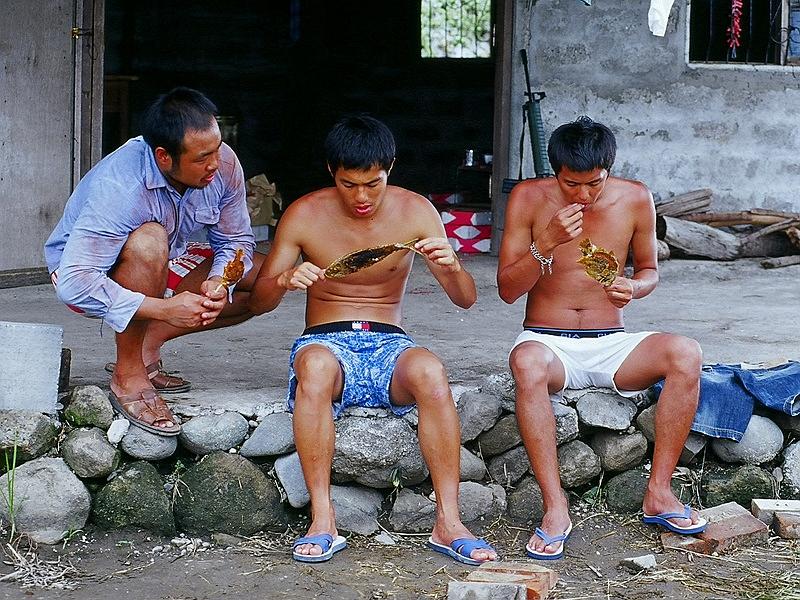 电影《梦游夏威夷  夢遊夏威夷》（2004中国台湾）--高清4K/1080P迅雷BT资源下载