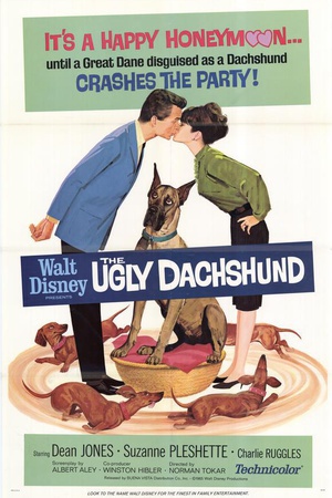 电影《蠢狗记  The Ugly Dachshund》（1966美国）--高清4K/1080P迅雷BT资源下载