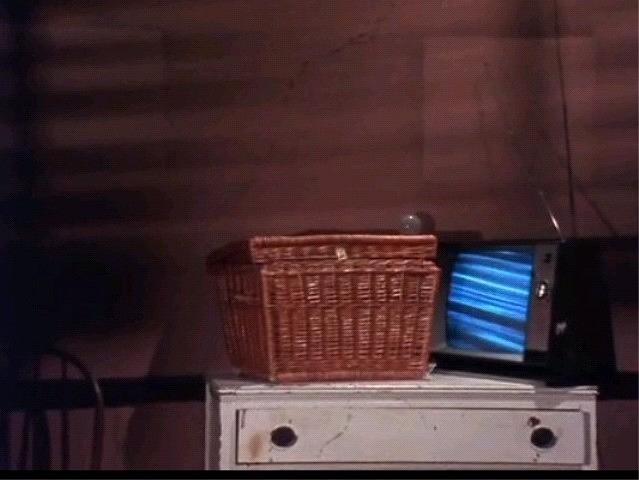 电影《篮子里的恶魔  Basket Case》（1982美国）--高清4K/1080P迅雷BT资源下载