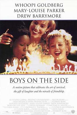 电影《潇洒有情天  Boys on the Side》（1995美国 / 法国）--高清4K/1080P迅雷BT资源下载