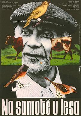 电影《森林边缘的寂寞  Na samotě u lesa》（1976捷克斯洛伐克）--高清4K/1080P迅雷BT资源下载