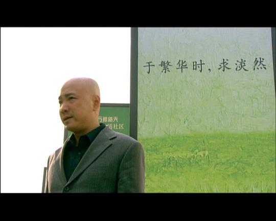 电影《爱情呼叫转移》（2007中国大陆）--高清4K/1080P迅雷BT资源下载