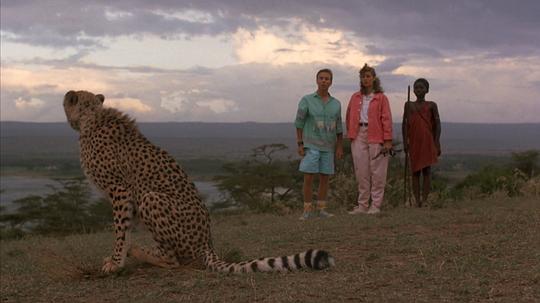 电影《孤豹奇缘  Cheetah》（1989美国）--高清4K/1080P迅雷BT资源下载