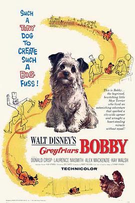 电影《绿野小英雄 Greyfriars Bobby》(1961美国)--高清4K/1080P迅雷BT资源下载 电影《绿野小英雄 Greyfriars Bobby》(1961美国)--高清4K/1080P迅雷BT资源下载