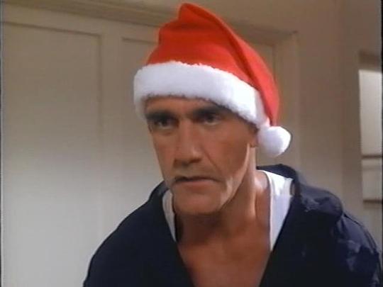 电影《超级圣诞老人  Santa with Muscles》（1996美国）--高清4K/1080P迅雷BT资源下载