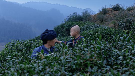 电影《茶缘》（2020中国大陆）--高清4K/1080P迅雷BT资源下载