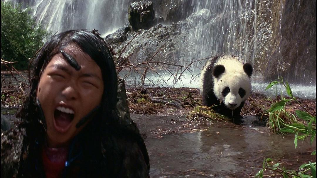 电影《小猫熊历险记  The Amazing Panda Adventure》（1995美国）--高清4K/1080P迅雷BT资源下载