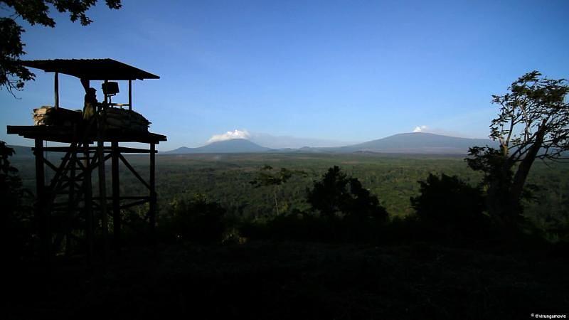 电影《维龙加  Virunga》（2014英国 / 刚果）--高清4K/1080P迅雷BT资源下载