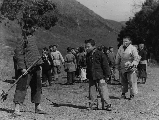 电影《鸡毛信》（1954中国大陆）--高清4K/1080P迅雷BT资源下载