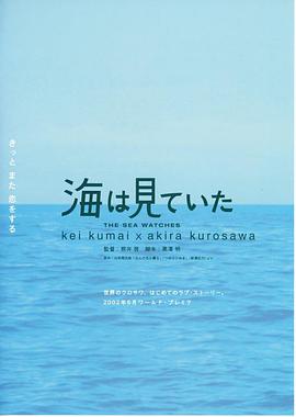 电影《大海作证  海は見ていた》（2002日本）--高清4K/1080P迅雷BT资源下载