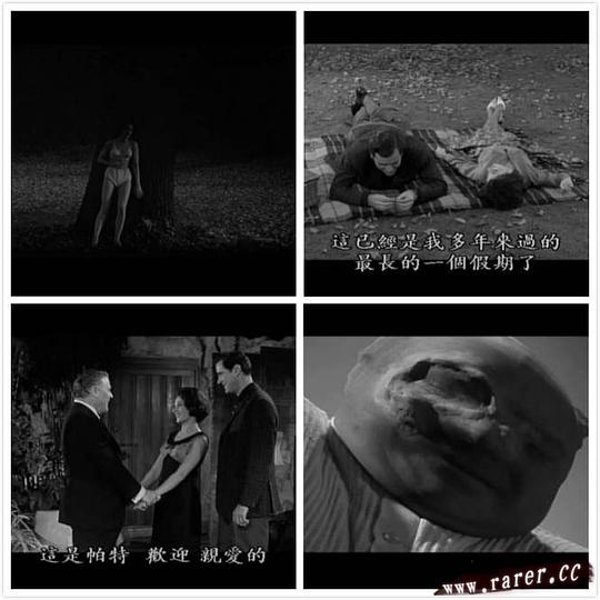 电影《变蝇人的诅咒  Curse of the Fly》（1965英国）--高清4K/1080P迅雷BT资源下载