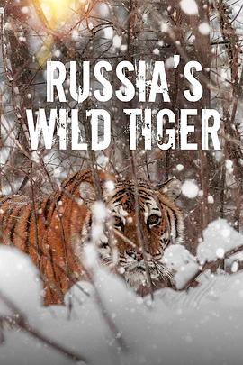 纪录片《俄罗斯野生老虎  Russia's Wild Tiger》（2022美国）--高清4K/1080P迅雷BT资源下载