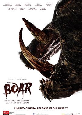 电影《野猪  Boar》（2017澳大利亚）--高清4K/1080P迅雷BT资源下载