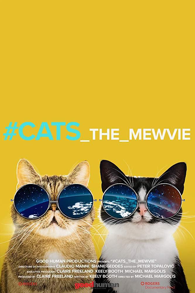 纪录片《网红喵星人  #cats_the_mewvie》（2020加拿大）--高清4K/1080P迅雷BT资源下载