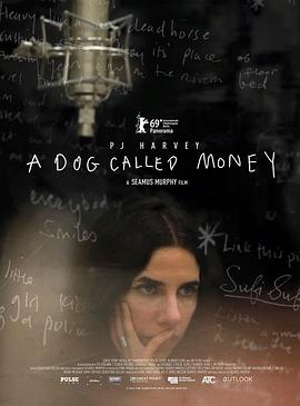 纪录片《一只叫钱的狗  A Dog Called Money》（2019爱尔兰 / 英国 / 美国）--高清4K/1080P迅雷BT资源下载