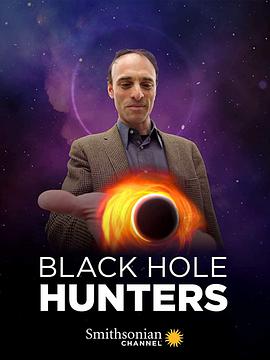 纪录片《黑洞探寻者  Black Hole Hunters》（2019美国）--高清4K/1080P迅雷BT资源下载