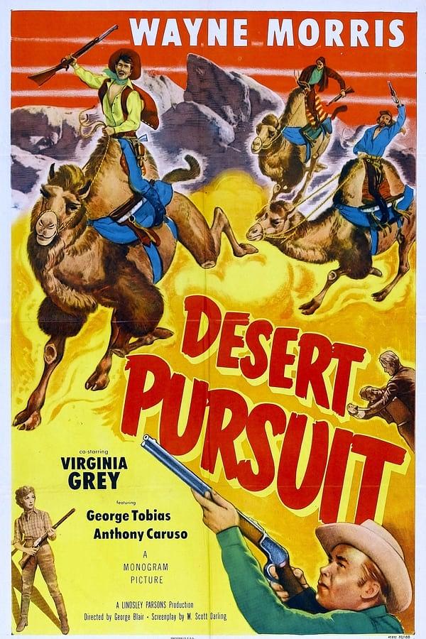 纪录片《沙漠追逐  Desert Pursuit》（1952美国）--高清4K/1080P迅雷BT资源下载