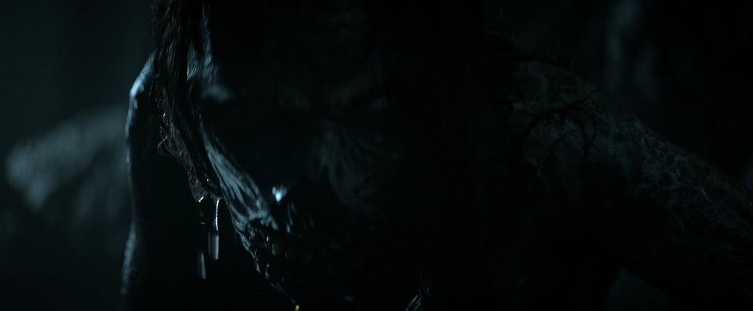 电影《森林恶鬼  The Wretched》（2019美国）--高清4K/1080P迅雷BT资源下载