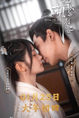 电视剧《王府软萌小刺客》（2023中国大陆）--高清4K/1080P迅雷BT资源下载