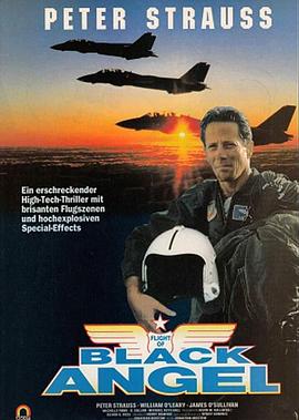 电影《黑天使的坠落  Flight of Black Angel》（1991美国）--高清4K/1080P迅雷BT资源下载