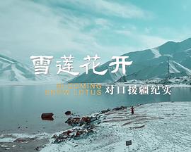 纪录片《雪莲花开——对口援疆纪实》（2021中国大陆）--高清4K/1080P迅雷BT资源下载