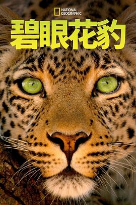 纪录片《碧眼花豹  Jade Eyed Leopard》（2020美国）--高清4K/1080P迅雷BT资源下载