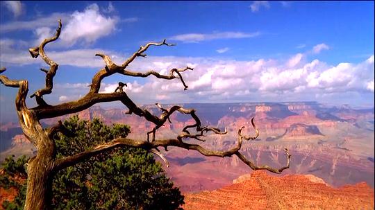 纪录片《Timeless: A National Parks Odyssey》（2006美国）--高清4K/1080P迅雷BT资源下载