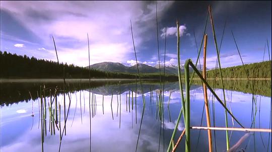 纪录片《Timeless: A National Parks Odyssey》（2006美国）--高清4K/1080P迅雷BT资源下载