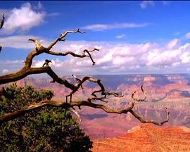 纪录片《Timeless: A National Parks Odyssey》（2006美国）--高清4K/1080P迅雷BT资源下载