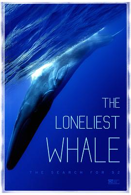 纪录片《最孤独的鲸：寻找52  The Loneliest Whale: The Search for 52》（2021美国）--高清4K/1080P迅雷BT资源下载