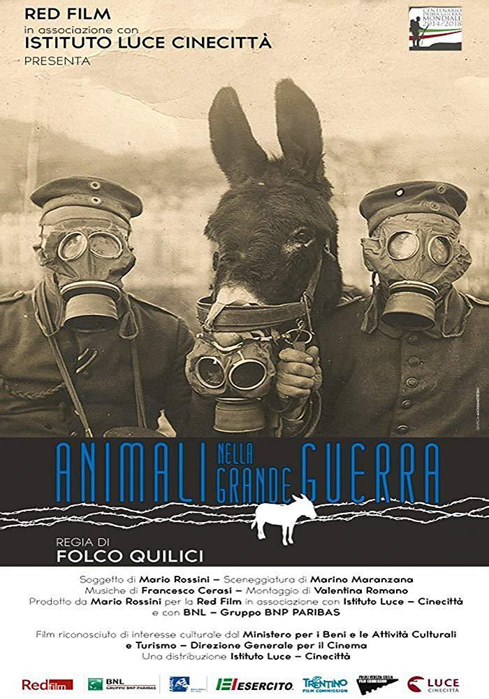 纪录片《战争中的动物  Animali nella Grande Guerra》（2015意大利）--高清4K/1080P迅雷BT资源下载