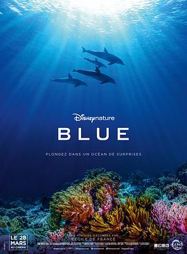 纪录片《蓝色海洋  Blue》（2018美国 / 法国）--高清4K/1080P迅雷BT资源下载