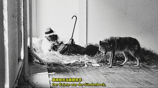 纪录片《博伊斯  Beuys》（2017德国）--高清4K/1080P迅雷BT资源下载