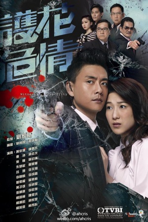 电视剧《护花危情  護花危情》（2012中国香港）--高清4K/1080P迅雷BT资源下载