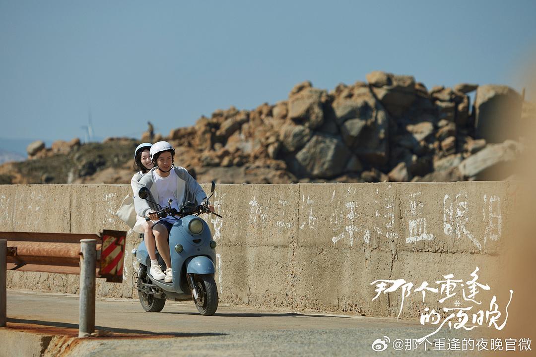 电视剧《那个重逢的夜晚》（2024中国大陆）--高清4K/1080P迅雷BT资源下载