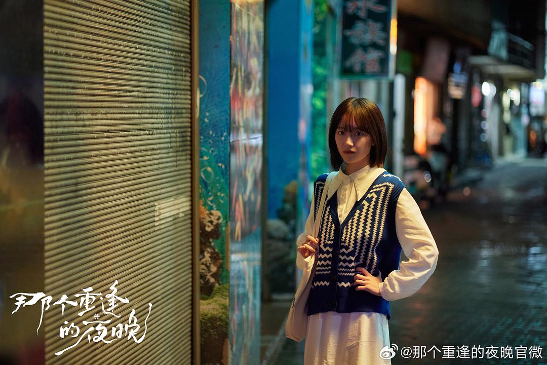 电视剧《那个重逢的夜晚》（2024中国大陆）--高清4K/1080P迅雷BT资源下载