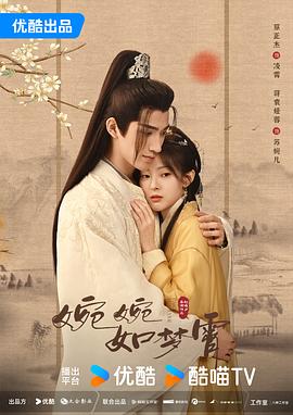电视剧《婉婉如梦霄》（2024中国大陆）--高清4K/1080P迅雷BT资源下载