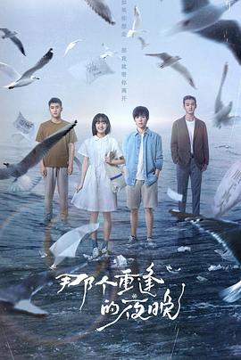 电视剧《那个重逢的夜晚》（2024中国大陆）--高清4K/1080P迅雷BT资源下载