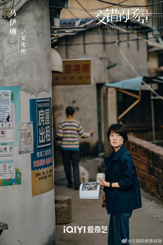 电视剧《交错的场景》（2024中国大陆）--高清4K/1080P迅雷BT资源下载