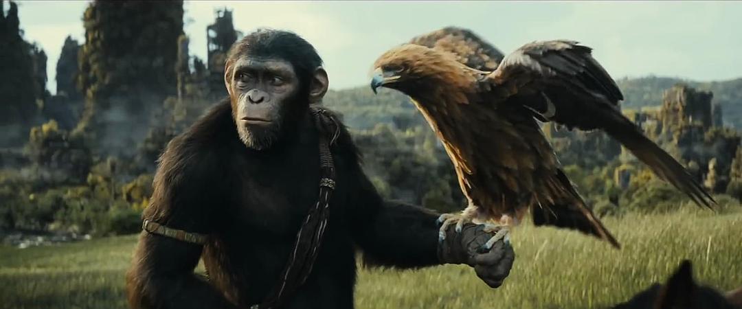 电影《猩球崛起：新世界  Kingdom of the Planet of the Apes》（2024美国）--高清4K/1080P迅雷BT资源下载