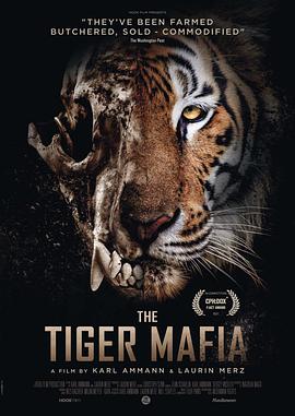 纪录片《老虎黑帮  The Tiger Mafia》（2016中国大陆 / 泰国 / 缅甸 / 老挝 / 越南 / 印尼 / 肯尼亚 / 南非）--高清4K/1080P迅雷BT资源下载