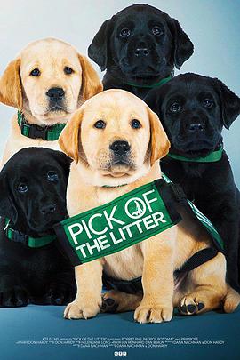 纪录片《崽之抉择  Pick of the Litter》（2018美国）--高清4K/1080P迅雷BT资源下载