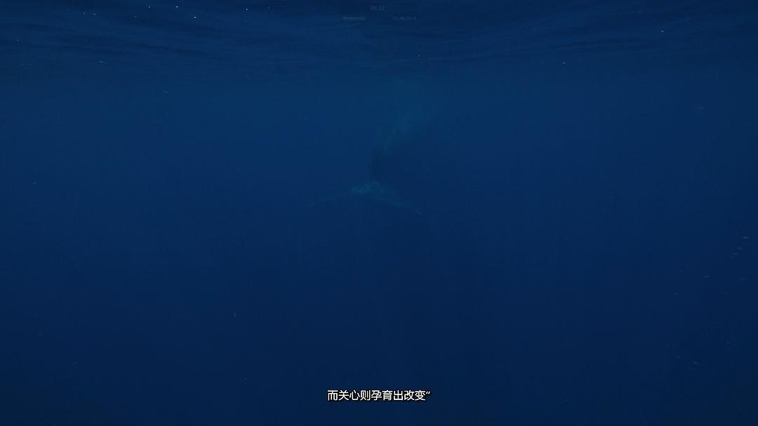 纪录片《塑料海洋  A Plastic Ocean》（2016英国）--高清4K/1080P迅雷BT资源下载