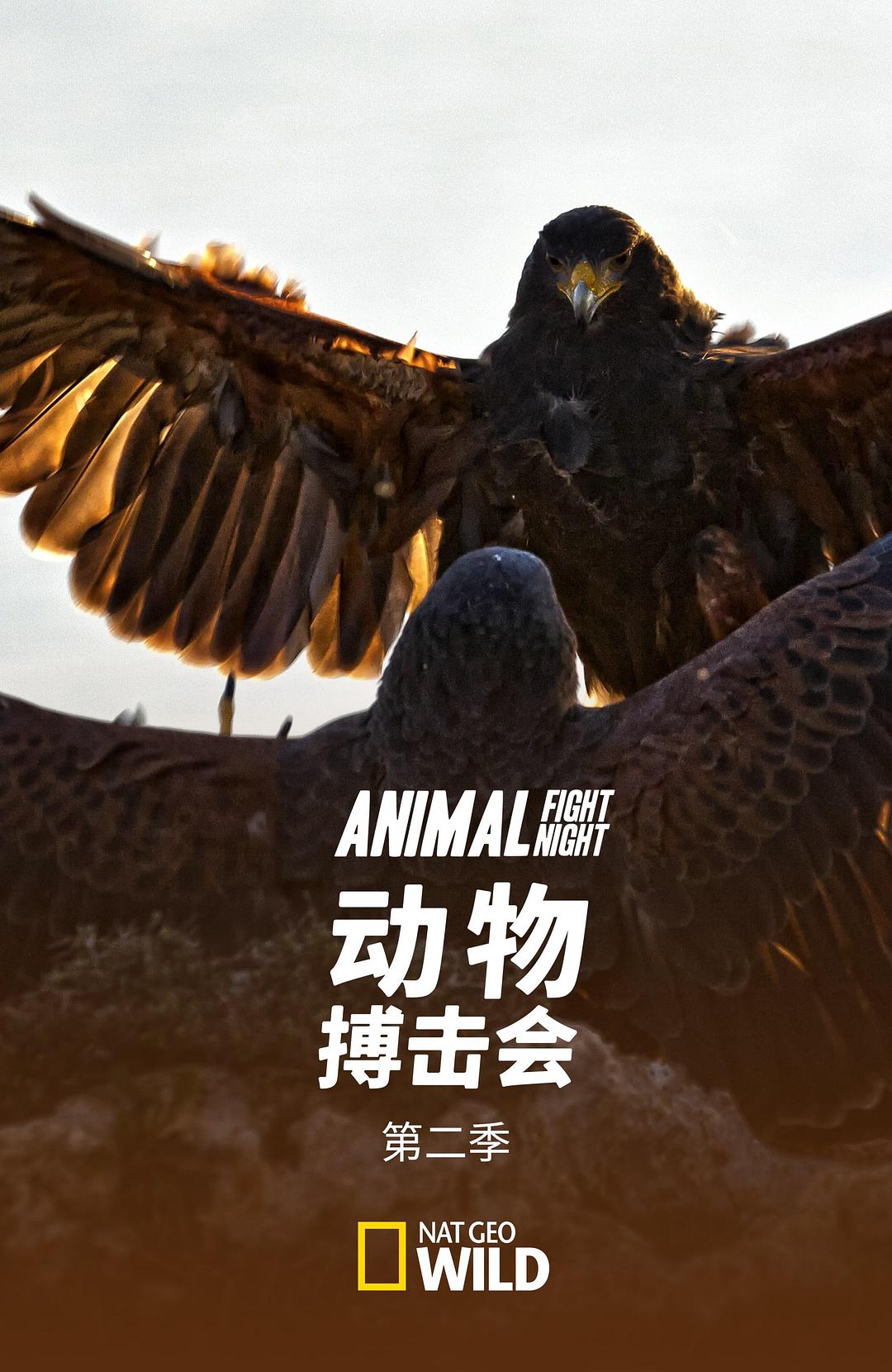 电视剧《动物搏击会 第二季  Animal Fight Club》（2014美国 / 英国）--高清4K/1080P迅雷BT资源下载