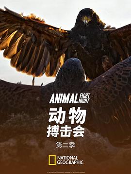 电视剧《动物搏击会 第二季  Animal Fight Club》（2014美国 / 英国）--高清4K/1080P迅雷BT资源下载