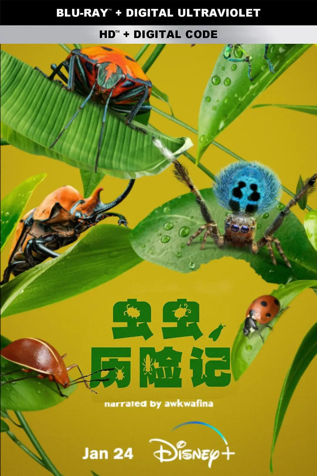 电视剧《虫虫历险记  A Real Bug's Life》（2024美国）--高清4K/1080P迅雷BT资源下载