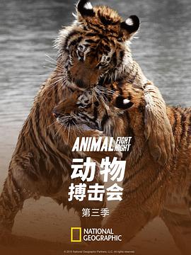 电视剧《动物搏击会 第三季  Animal Fight Club》（2015美国）--高清4K/1080P迅雷BT资源下载