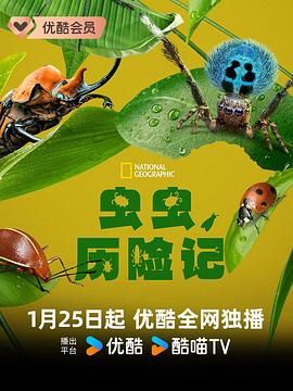 电视剧《虫虫历险记  A Real Bug's Life》（2024美国）--高清4K/1080P迅雷BT资源下载