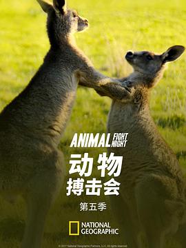 电视剧《动物搏击会 第五季  Animal Fight Night》（2017美国）--高清4K/1080P迅雷BT资源下载