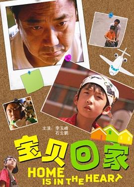 电影《宝贝回家》（2010中国大陆）--高清4K/1080P迅雷BT资源下载